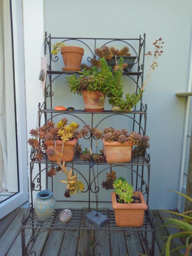 Crescent Cottage Knysna Kültér fotó